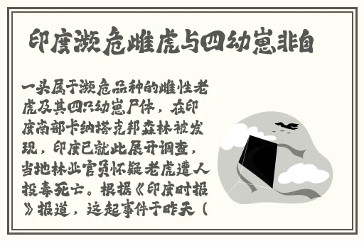 男人和女人在床的app